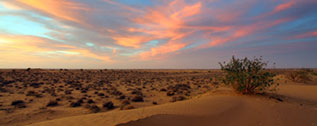 Rajasthan-Holiday-Package